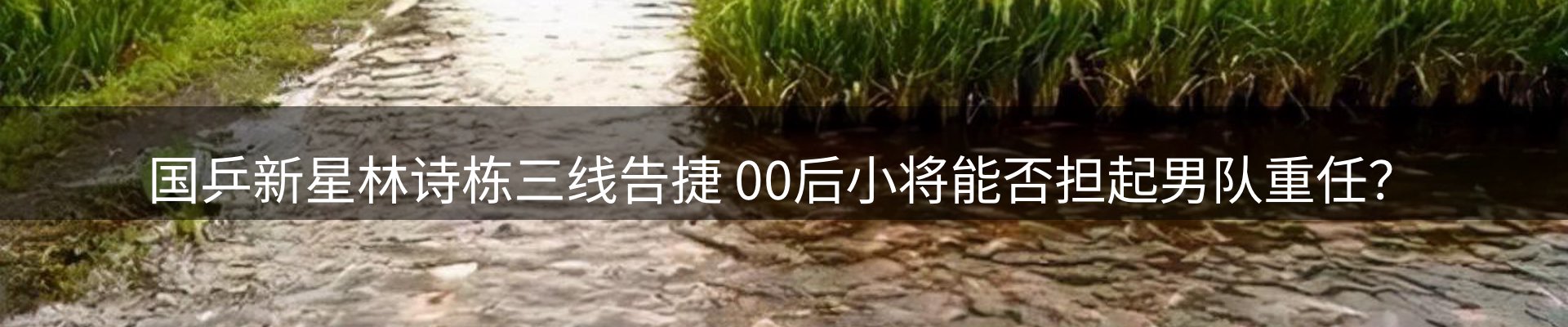网站资讯