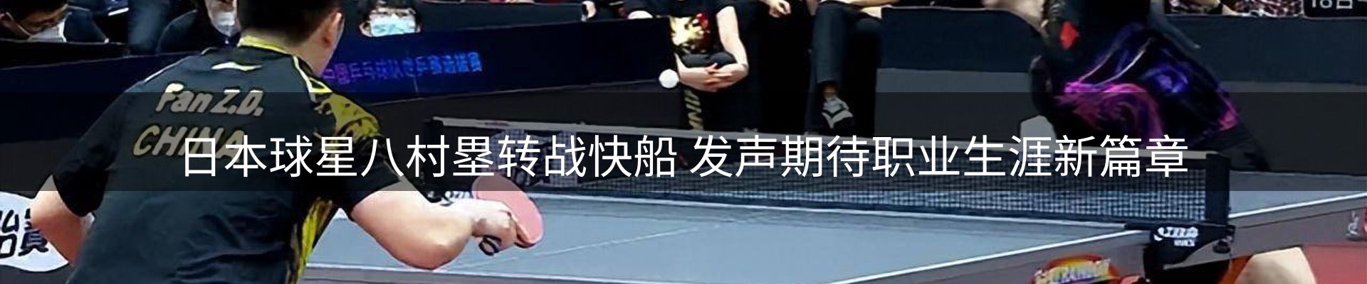 网站资讯