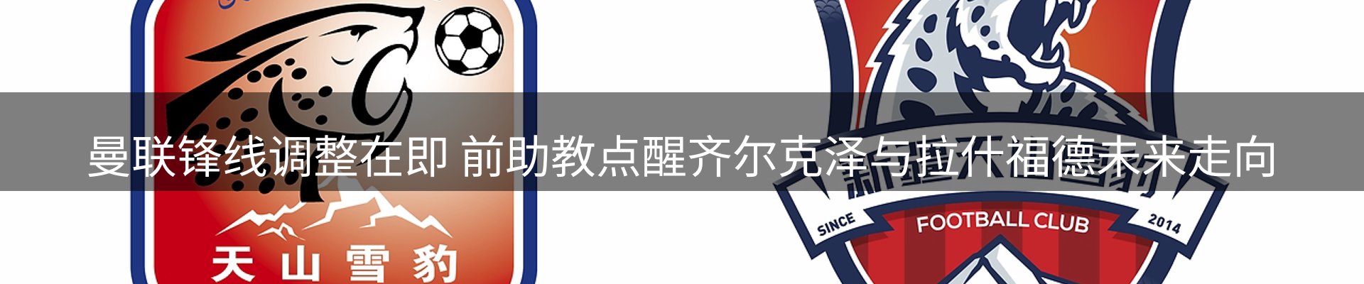 网站资讯