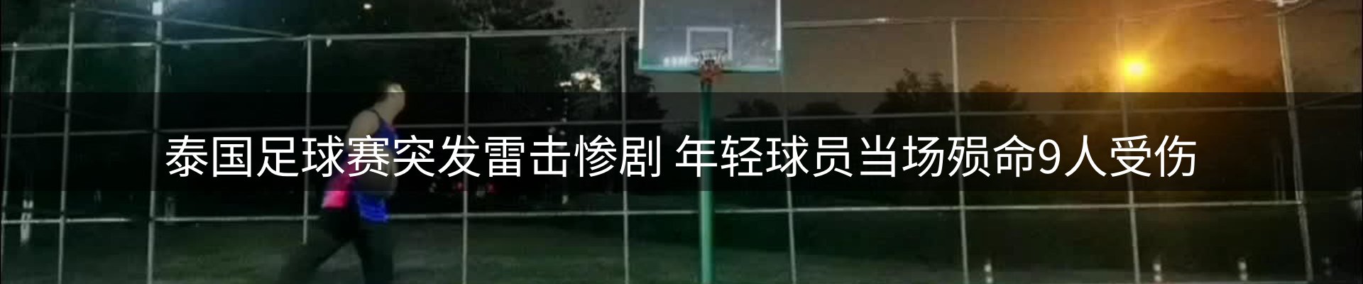 网站资讯