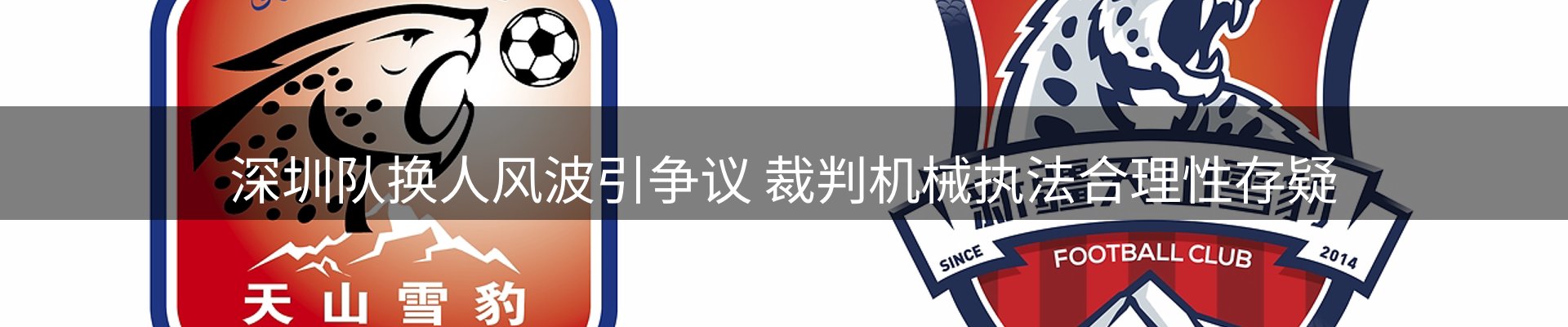 网站资讯