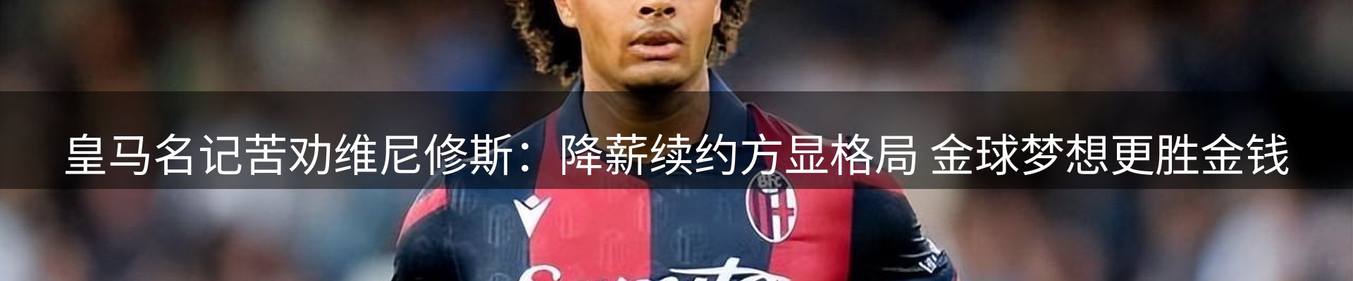 网站资讯