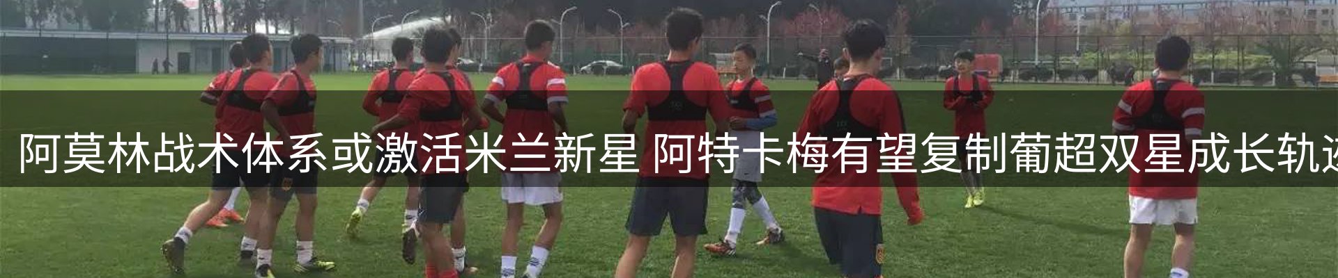 网站资讯